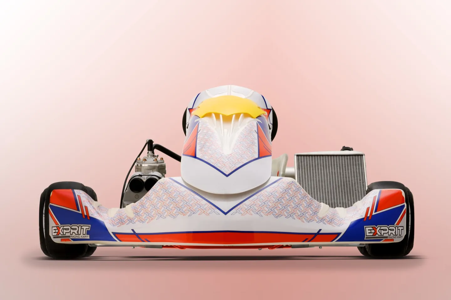 Exprit Noesis T kart chassis