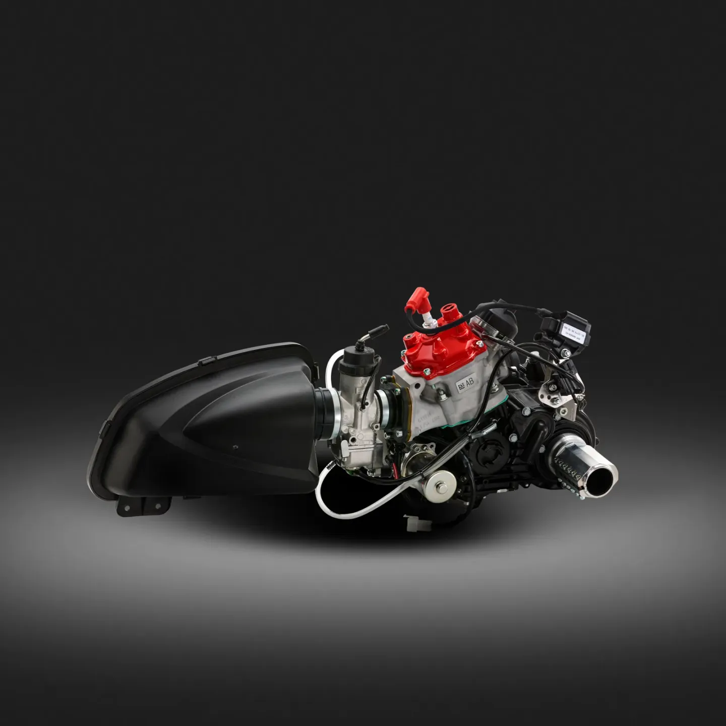 Rotax 125 MAX DD2 Evo kart engine