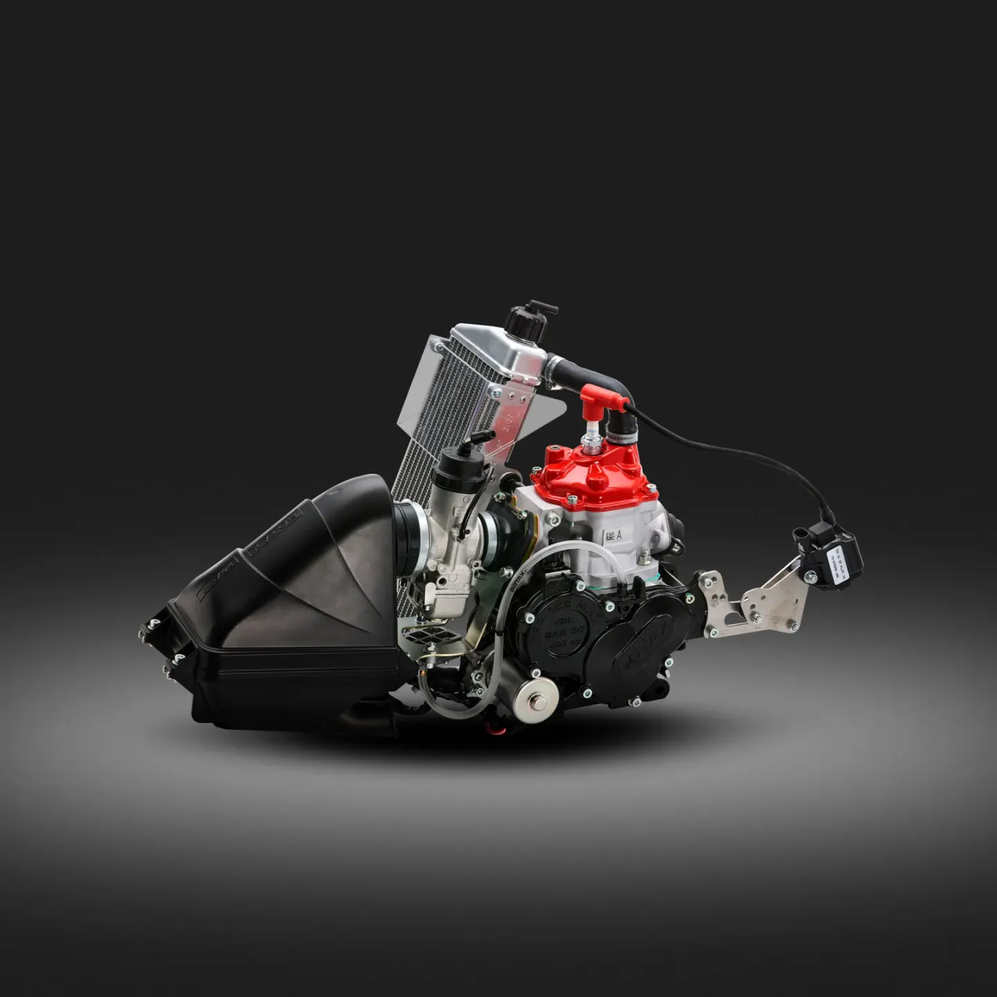 Rotax 125 Junior MAX Evo kart engine