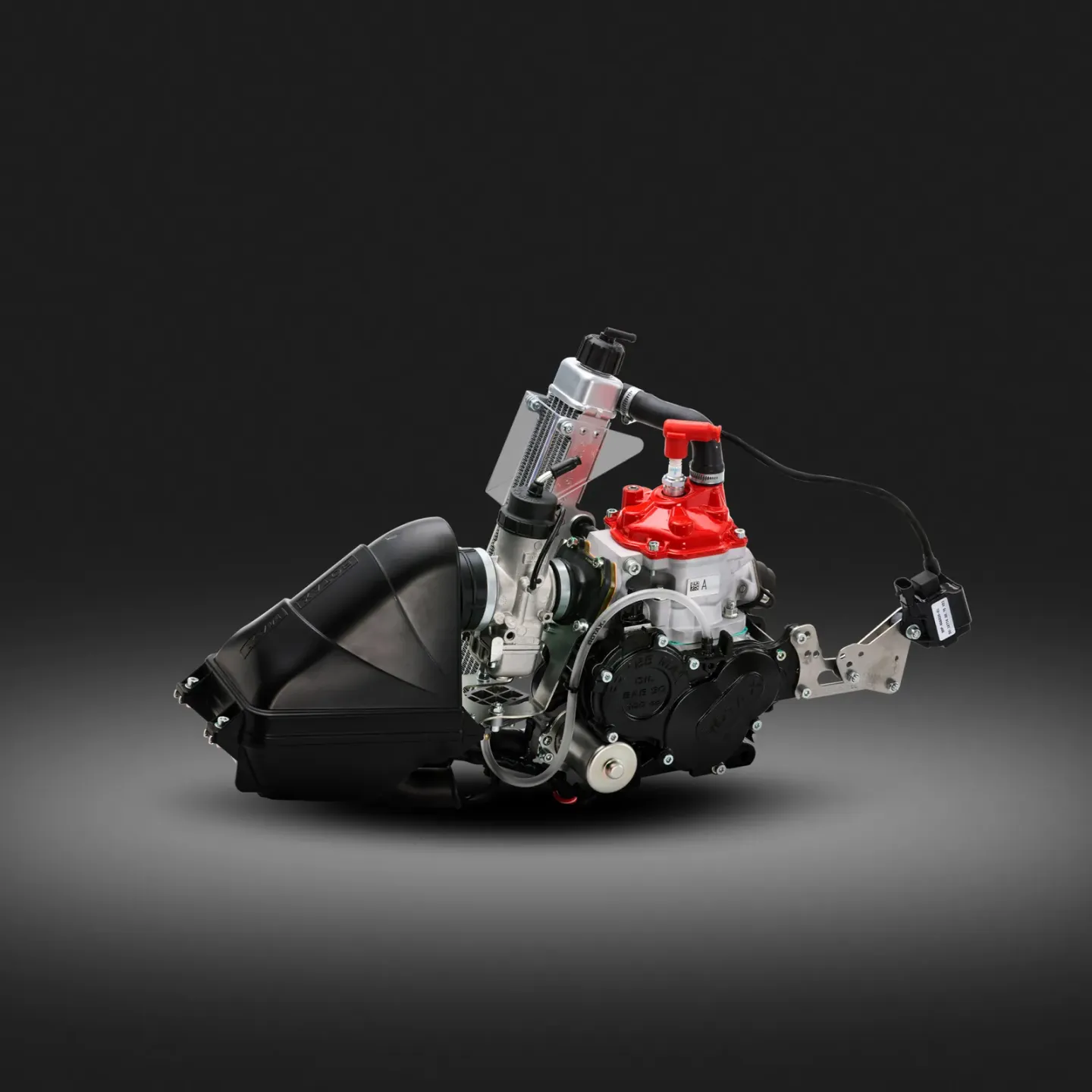 Rotax 125 Micro MAX Evo MY20 kart engine