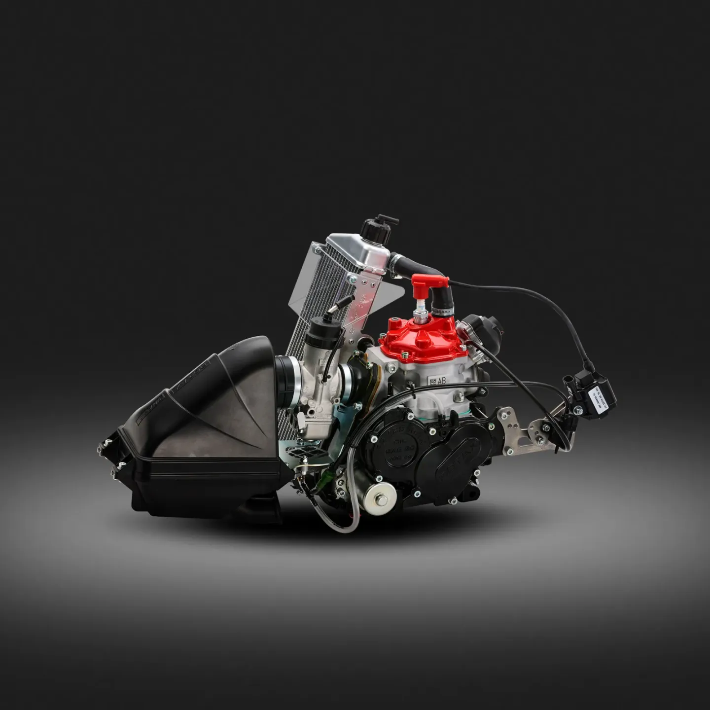 Rotax 125 Senior MAX Evo kart engine