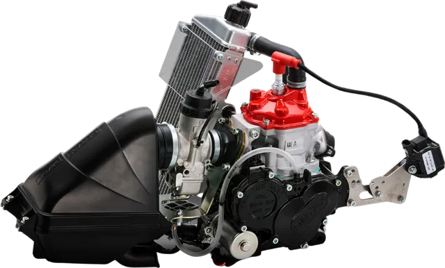 Rotax Junior MAX engine