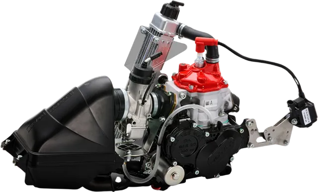 Rotax Mini MAX engine