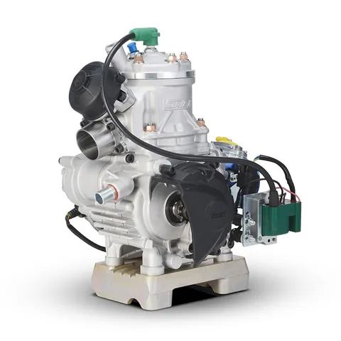 Vortex Rok DVS kart engine