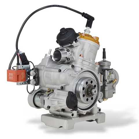 Vortex Rok GP kart engine